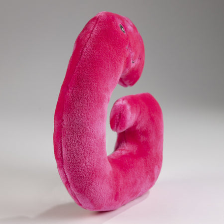 Alphapals® 11 Inch Plush Letter G
