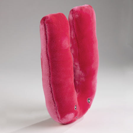 Alphapals® 11 Inch Plush Letter U